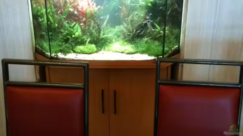 Das Tor in eine andere Welt, Pflanzen