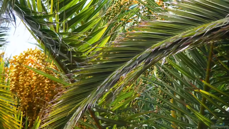 das Tropenbecken,richtig eingerichtet ?