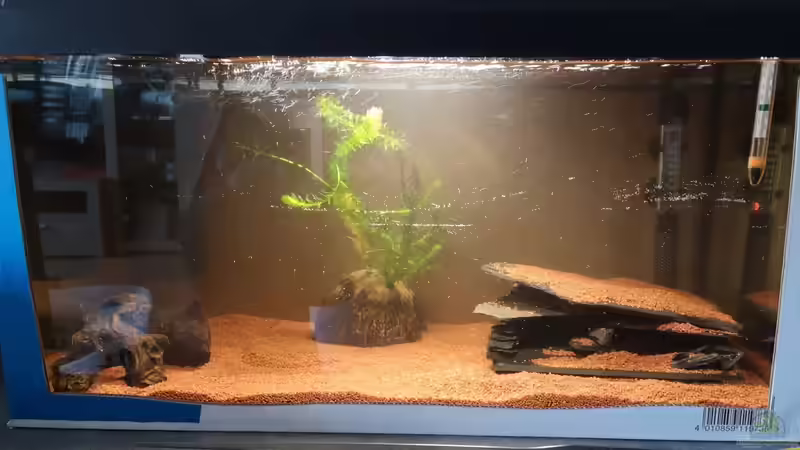 Das Übergangszuhause für den Umbau und die Einlaufphase von Mark H. (26)