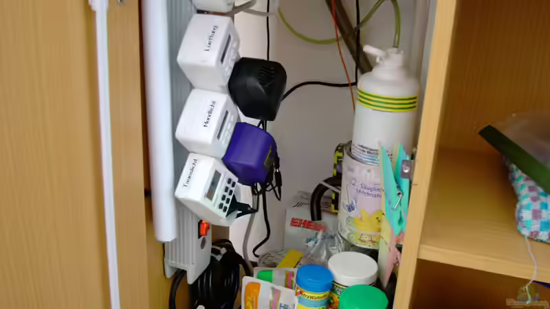 das Uhrwerk von Steve Knöfler (7)