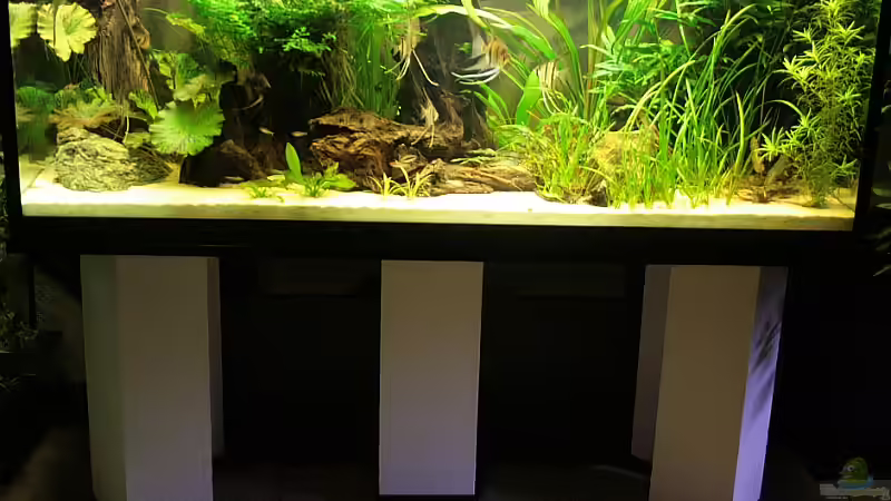 Das Untergestell (am Anfang war es weiß ) von Grobi (3)