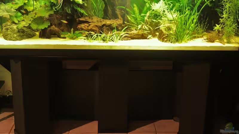 Das Untergestell ist jetzt schwarz und lenkt somit den Blick des Betrachters besser von Grobi (7)