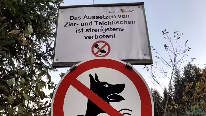 Das Verantwortungsbewusstsein der Aquarianer, Terrarianer und Teich-Besitzer unserer Natur gegenüber