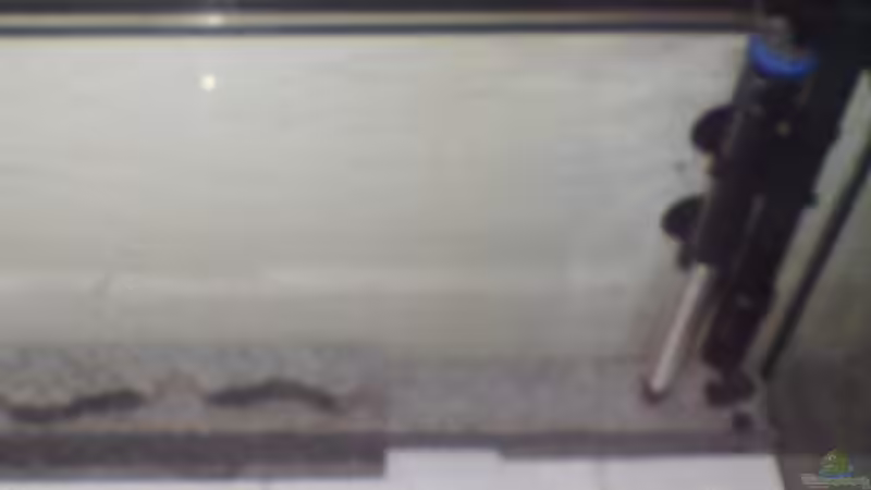 Das Versteck  von metz (13)