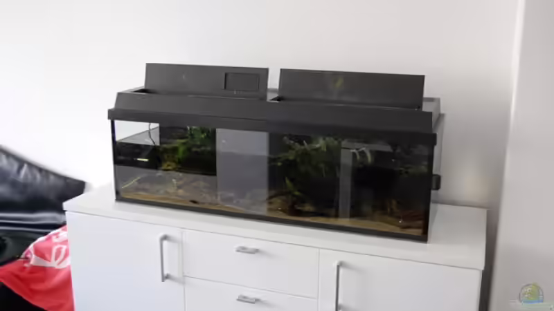 das Vorgängerbecken noch schnell abgebaut... von Berlin42 (11)