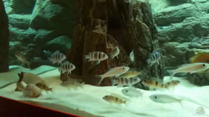 das wahr am 25.06.2011 um 5 Uhr morgen die neuen  von Manuel Jettki (16)