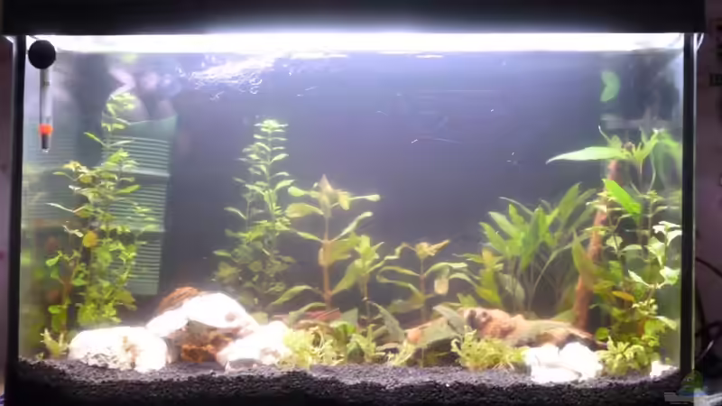 Das war am 28.12.12 von Freudenfeuer (2)