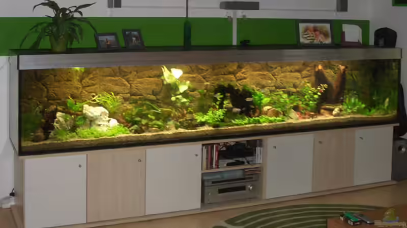 Das war das Becken kurz nach dem Einfahren mit spärlichem Pflanzenwuchs von Thomas Hermsdorf (2)