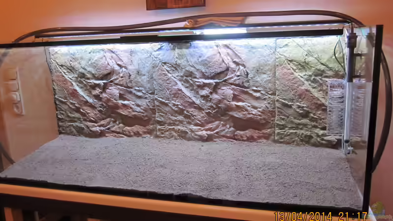 Das war der Anfang..Hier sieht man lediglich den JBL-Nährboden und die Rückwand von Ottche (21)