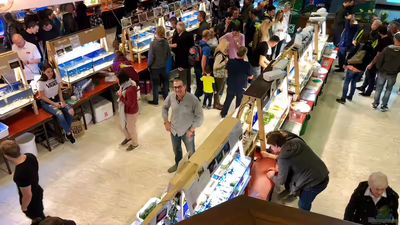 Das war der Aqua-Day 2019