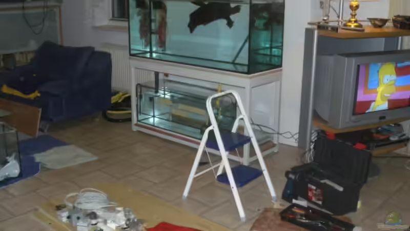 Das war der Testlauf für Ab und Zulauf von Ronny Derndorfer (20)