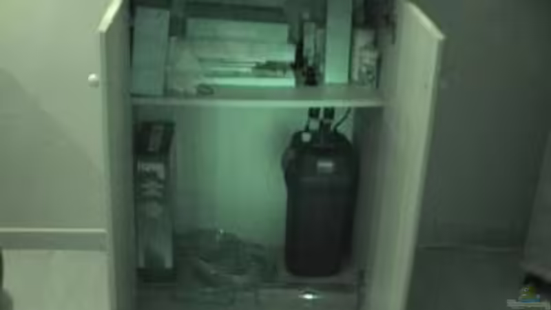 Das war mal ein CD Schrank mit 250 CD´s. Nun ist´s ein Aquariumschrank von Marco Schumacher (17)