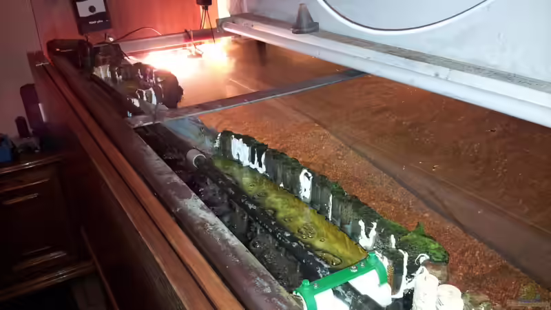 Das Wasser aus dem filter wird über die komplette Länge der Biokammer eingeperlt von Steven Schneider (10)