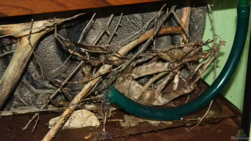 Das Wasser fließt ins Becken ein....! von Florian Bandhauer (44)