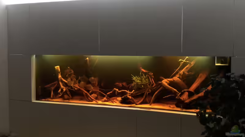 Das Wasser hat sich inzwischen stark eingefärbt von JanH (13)