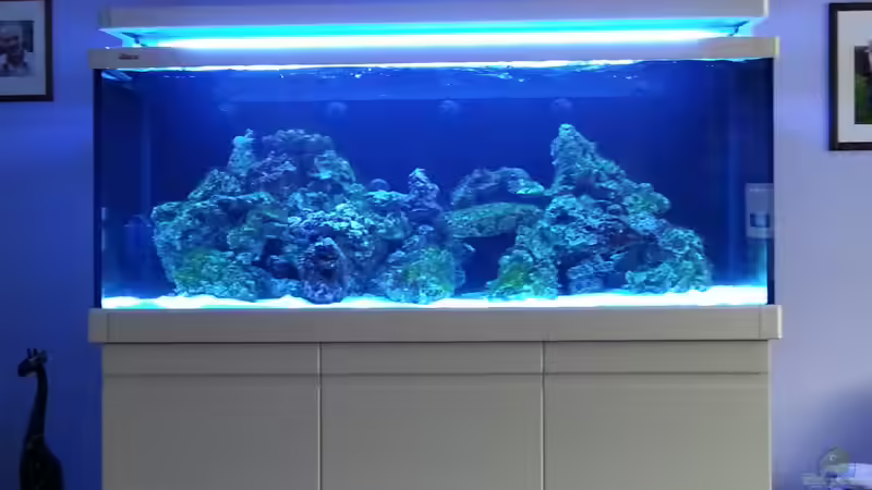 Das Wasser ist schon ziemlich klar ! von urbi (77)