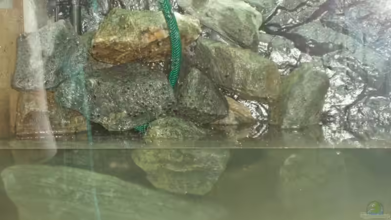 Das Wasser wurde in den Steinhaufen geleitet um so wenig wie möglich Sand aufzuwirbeln. von A.Zabanoff (5)