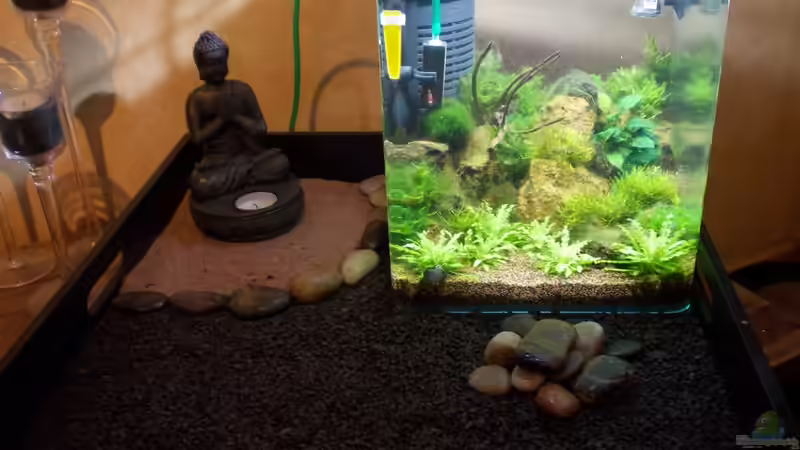 Das Werk meiner besseren Hälfte von Koehler (4)