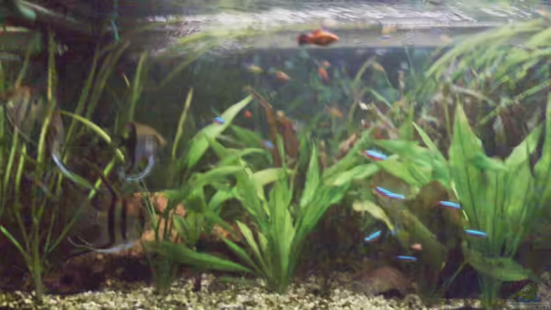 Das Wetter: ´stark bewölkt und Regen´ von Thomas Jordan (3)