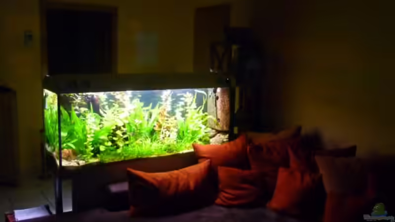 Das Wohnzimmer von dirkvader71 (3)