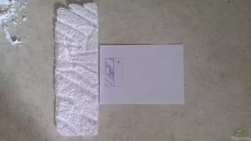 Das zurechtgeschnitzte Stück Seitenwand von Harry Nemitz (18)