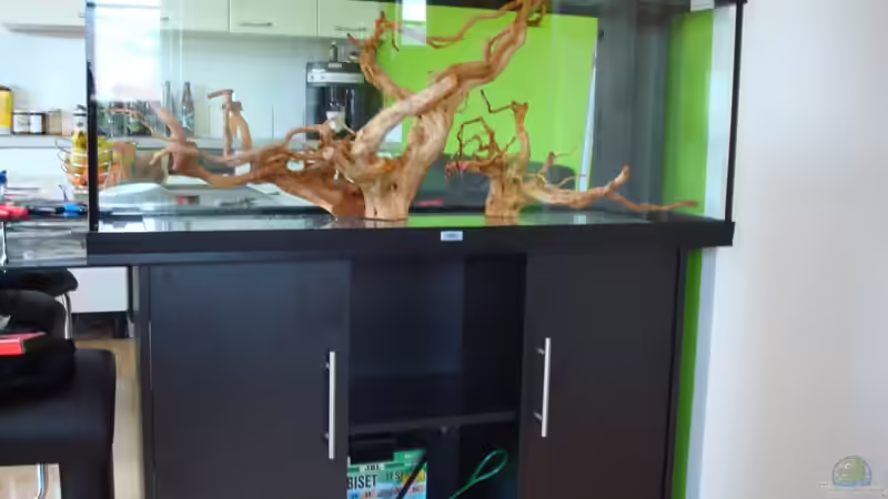 Das zweite Becken kam als ´Ganzes´.. von erma (4)