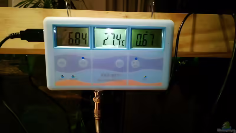 dauerkontrolle von Michael Bodem (30)