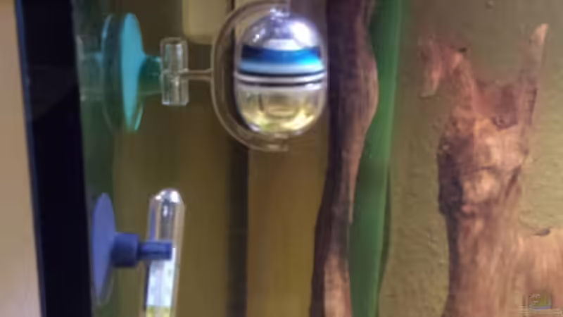 Dauertest von Mateusz (7)