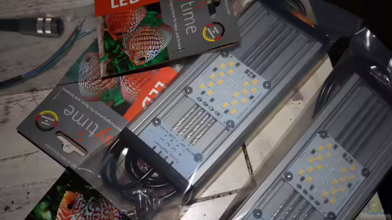 Day Time Lampen 3 x 20 cm  von Florian Bandhauer (66)