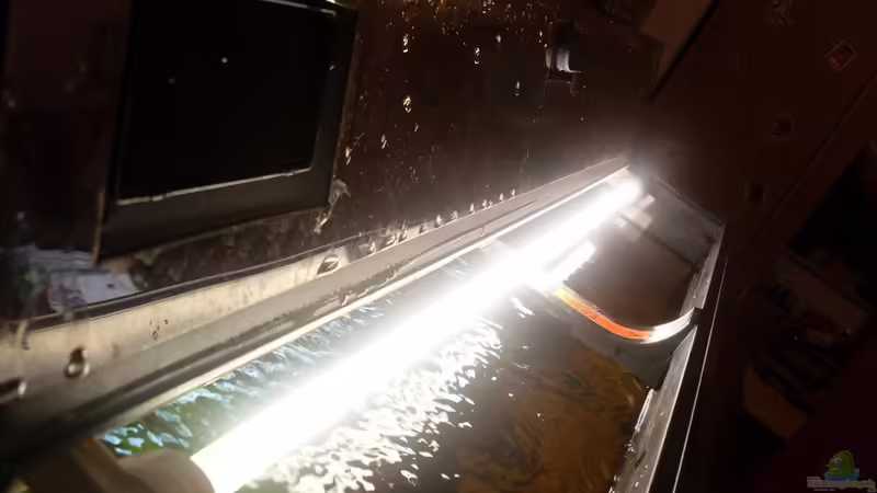 ´Day´ von Markus Pisarek (4)