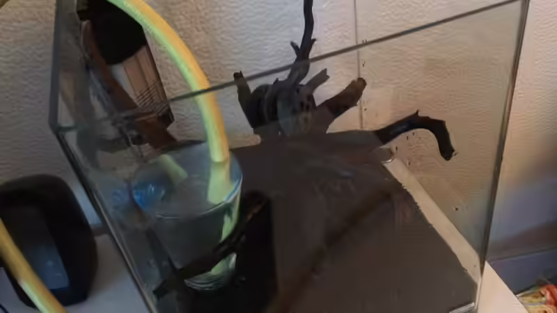 Day1: Dichtheitstest von Ayahuasca (128)