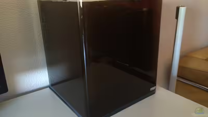 Day2: Wurzel gesetzt- (ADA Amazonia, sportlich aufgefüllt ->schlecht)  von Ayahuasca (10)