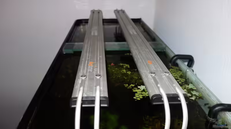 Daytime Cluster 100.5 (2 Stück) von NOWI1976 (7)