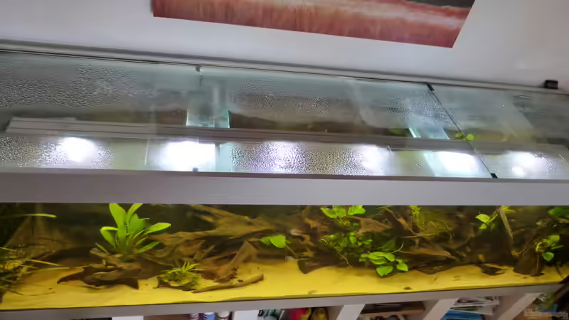 Daytime cluster 200.6 von Blackwater (8)