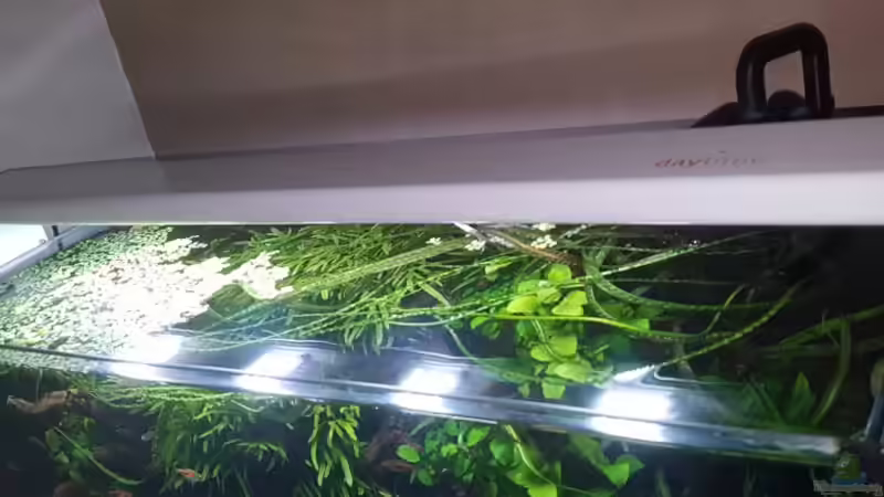 Daytime Cluster Aufsetz Design-Profil Set Top White von YoshiMaus (16)