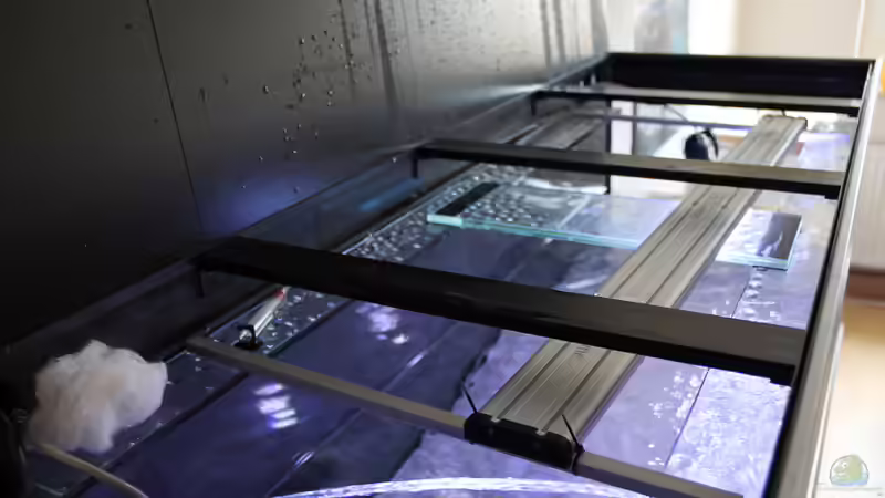 Daytime Cluster Control UltraBlueRedWhite von Sebastian O. (20)