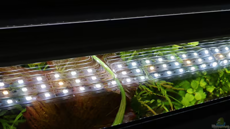 Daytime LEDs von Dirk F. (13)