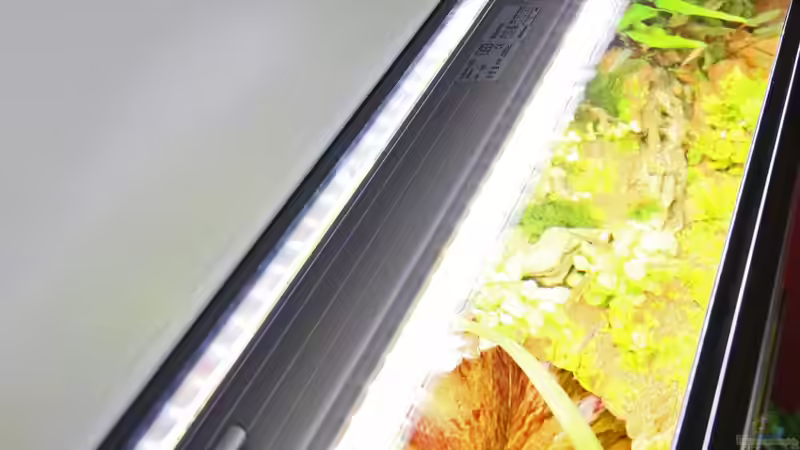 Daytime LEDs von Dirk F. (14)