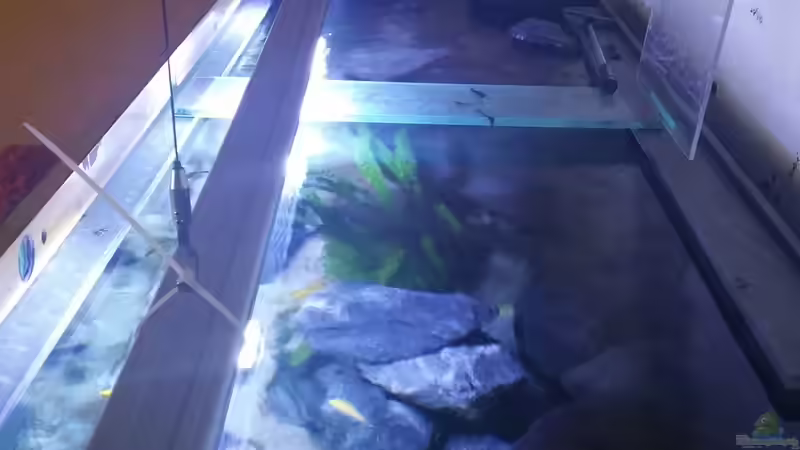 Daytime Matrix 180/3 UBRW von Uncas (18)