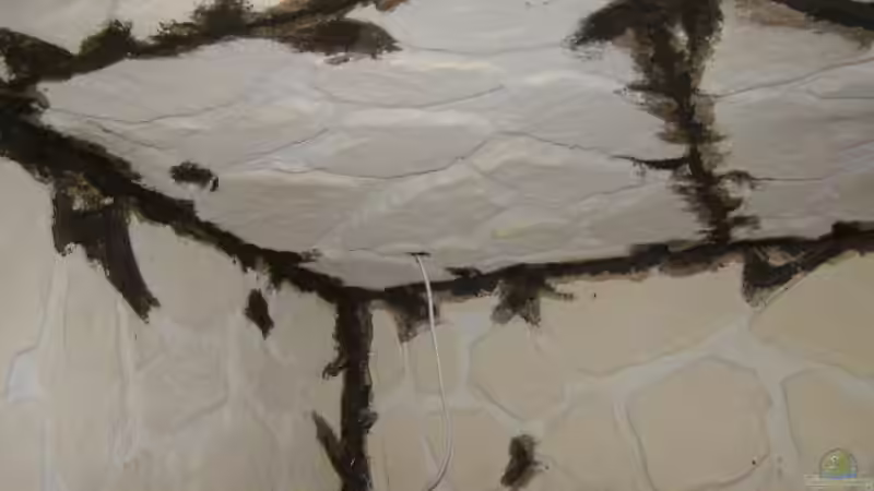 Decke noch ohne Lampe; das Schwarze ist Spezialspachtel von SeLo (6)