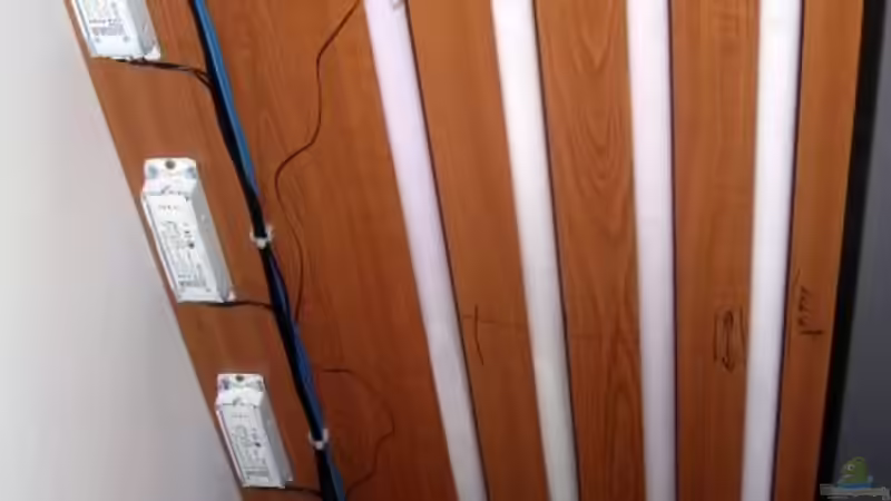 Decke von AQ, 4 Röhre getrennt schaltbar von Zoltan Bene (10)