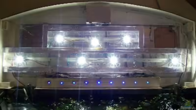 Deckel des 100 l Beckens von Aquaristik-sbk (4)