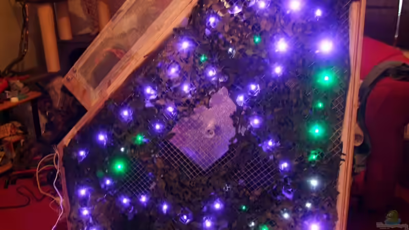 Deckel fertig mit LEDs bestückt und Tarnnetz angebracht - schön zu sehen sind die Lücken in denen später die ´Sonnen´ und der HQI sowie die restliche Beleuchtung sitzt von Betta Chris (37)