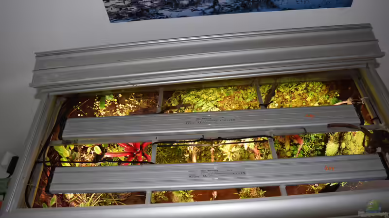 Deckel mit LED-Lichtbalken und Alu-Gestell um die Wurzeln mit Kabelbindern daran zu befestigen von Junglist (50)