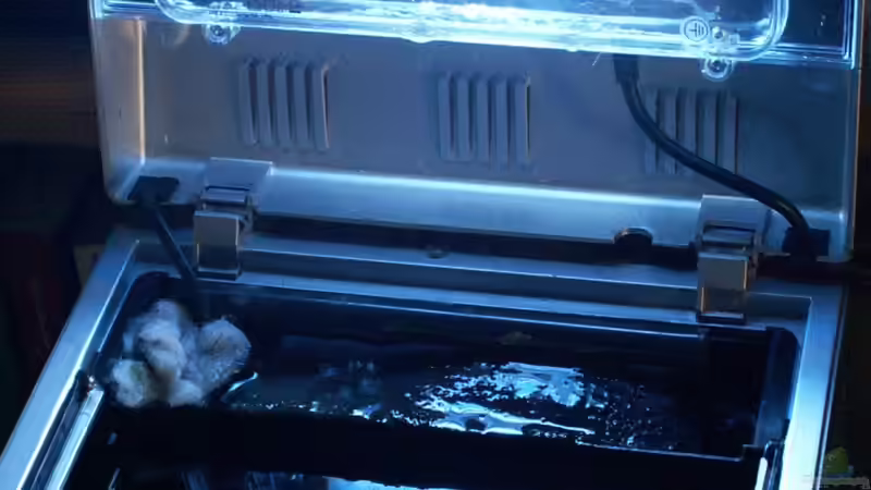 Deckel und Filter von Pelzwanze (2)