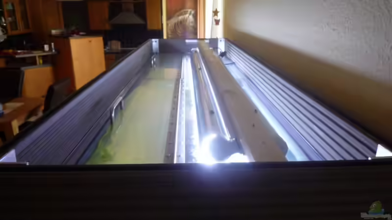 Deckel von Helmar (2)