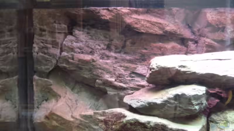 Decko Gesteinrückwand von Lukas Szewczyk (8)