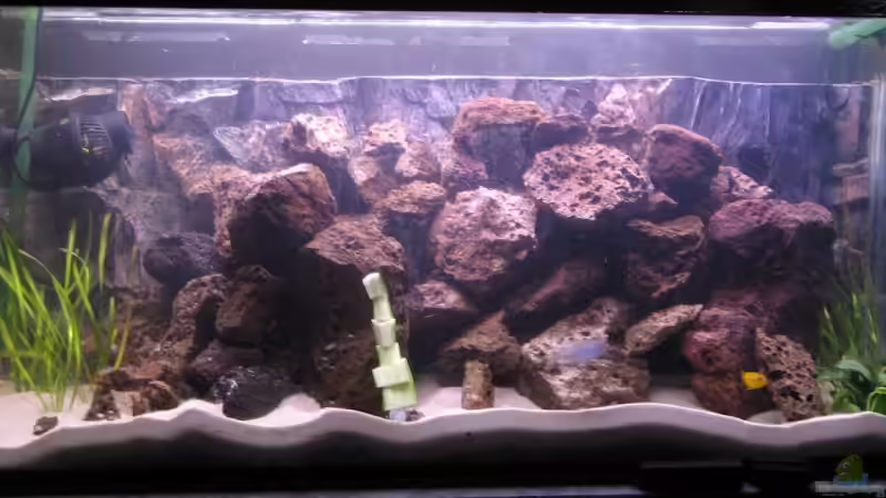 DEKO???   ----> nee ist nur ne gruke am Spieß *G* von Gladbacherfohlen86 (17)