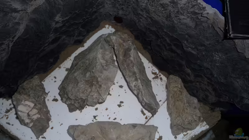 Deko 1 von DER YBBSTALER (34)