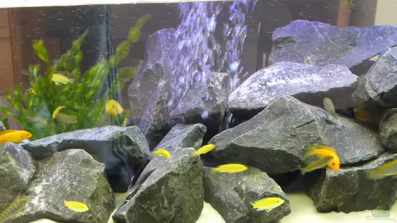 Deko 1 von Dominik Jerg (7)